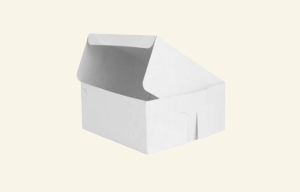 Cake Box 10″