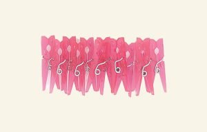 Baby Clothes Pins Favors