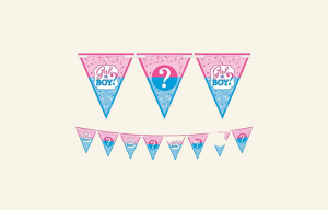 Girl or Boy? Pennant Banner