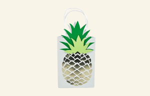 Pineapple Favour Bag