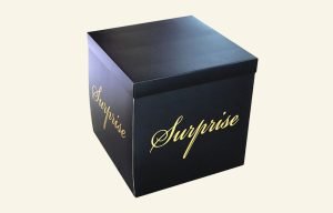 Surprise Box