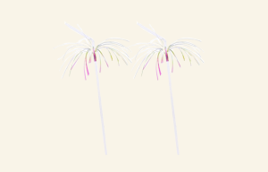 Firework Straws