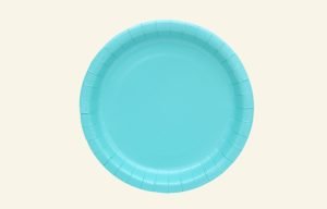 Teal Dinner Paper Plates 20pk