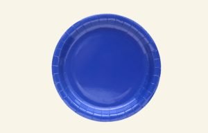Navy Small Paper Plates 20pk