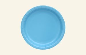 Blue Dinner Paper Plates 20pk