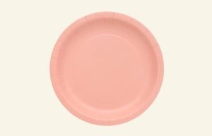 Blush Dinner Paper Plates 20pk