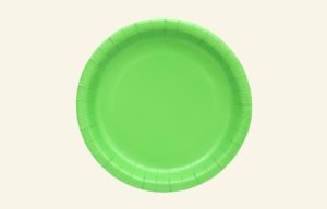 Green Dinner Paper Plates 20pk