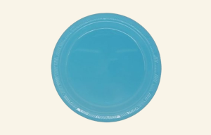 Blue Dinner Plates