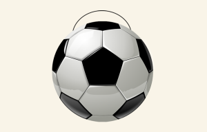 Soccer Bags