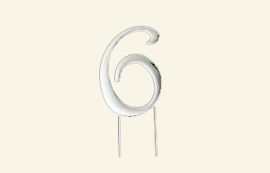 Silver Number 6 Cake Topper