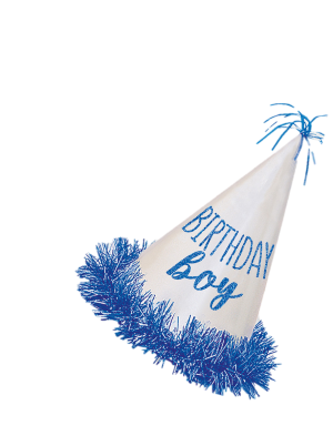 Birthday Boy Hat