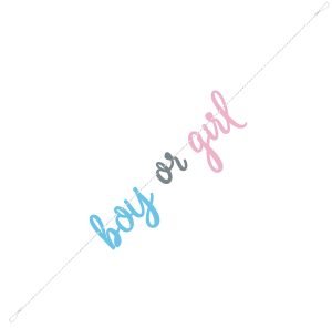 Boy Or Girl Jointed Banner
