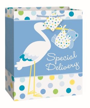 Baby Stork Gift Bag