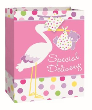 Baby Stork Gift Bag