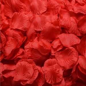 Red Rose Petals