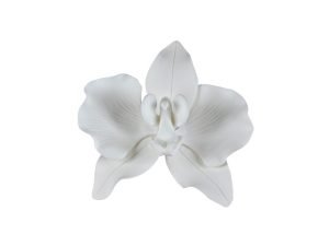 Small Phalaenopsis Orchid Sugar Flower