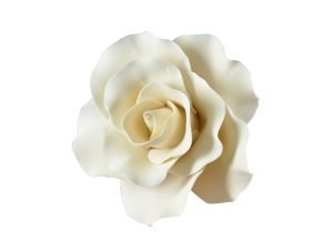 Large Single Rose Ivory Sugar Flower
