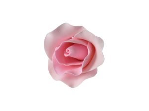 Medium Single Rose Pink Sugar Flower