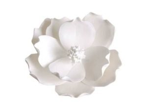Large Magnolia Sugar flower