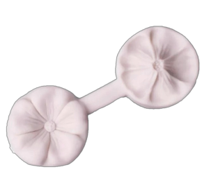 Flower Press Mould