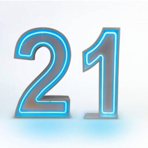 Neon Light up Numbers 21