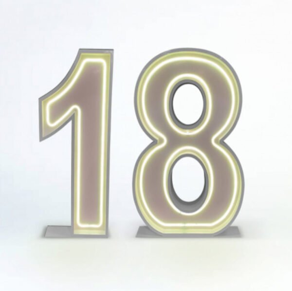 18 neon numbers