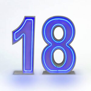 18 Neon Light up number