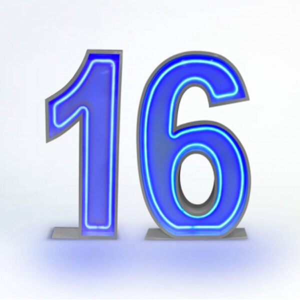16 Neon Number